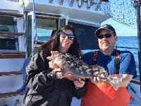 Whale Watching Depoe Bay 